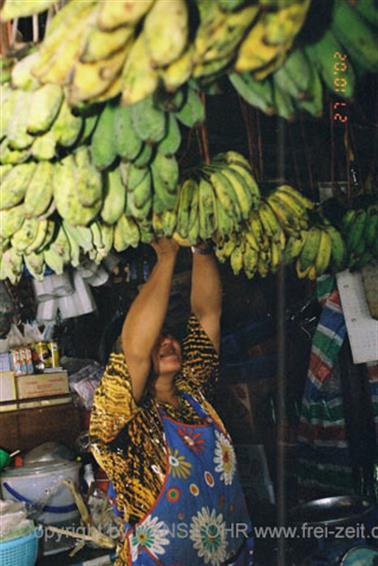 11 Thailand 2002 F1060018 Khao Lak Ausflug Khao Sok_478